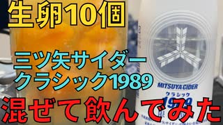 【完全栄養】　生卵10個に三ツ矢サイダークラシック1989混ぜて乾杯する弱者男性