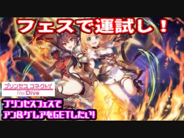 【プリコネR】フェスに参加したい騎士君が、ガチャに挑む！【アン&グレア】