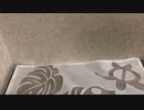【ポケカ】アキバで買ってきた3万円福袋開封した結果【開封動画】