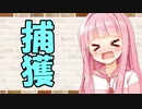 【ソフトウェアトーク劇場】カプチーノハウス・改 パート207【捕獲】