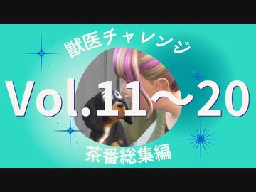 【sims4】獣医チャレンジ  茶番総集編#11~20【ゆっくり実況プレイ】