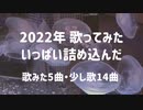 2022年歌ってみたダイジェスト【瑠乃*。】