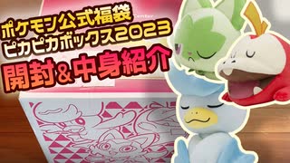 【ポケモン福袋】ピカピカボックス2023が当たって嬉しいから開けるだけ【開封動画/実写】