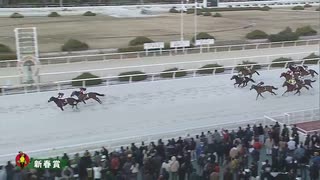 第65回新春賞 アキュートガール
