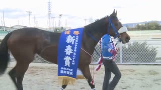 第65回新春賞 表彰式