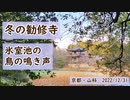 冬の勧修寺　氷室池の鳥の鳴き声（京都・山科　2022/12/31）