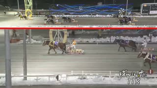 第16回天馬賞 サクラヒメ