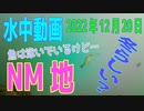 水中動画（2022年12月20日）in NM地