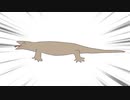 コ　モ　ド　オ　オ　ト　カ　ゲ