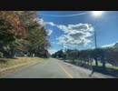 紅葉を見に蔵王エコーラインを目指すドライブ　21　マツダ２車載　麓の大鳥居から遠刈田温泉方面へ　2022　1029