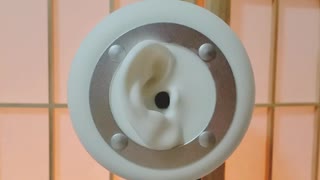 [ASMR]濡れ綿棒で耳介(耳輪、耳珠)を雑にマッサージ/ear massages/brain tingling[no talking]