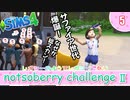 ＃5【シムズ4】続・レガシーのようで、レガシーでない【ゆっくり実況】