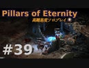 【ゆっくり実況】貧弱流され魔術師のダイアウッド一人旅39