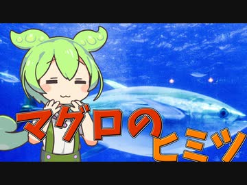 ずんだもんのたべもののヒミツ　‐マグロのヒミツ‐