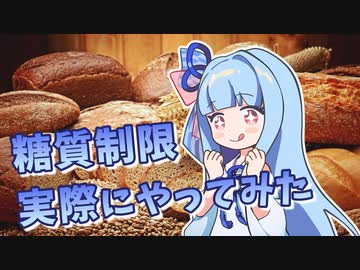 糖質制限ダイエットとは？～実際に試してみた～【VOICEROID解説】