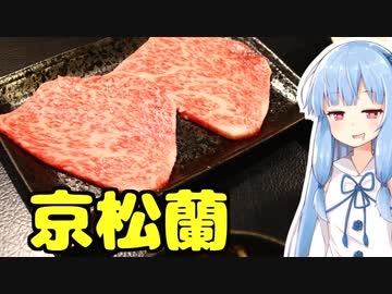 琴葉姉妹の大阪を食べようPart46「京松蘭」