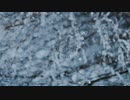 【後宮の烏-ED】夏の雪【covered.天海透】