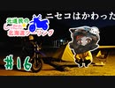 元道民のしったか北海道ツーリング #16 【ニセコ後編】