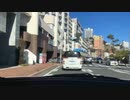 【えりぃ】【東京帰るよ！伊豆ドライブ】事故ごいし下道。新しい車はバモスかなあ。2022年12月19日