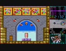 マリコレ版スーパーマリオUSA　全ステージRTA　21:31