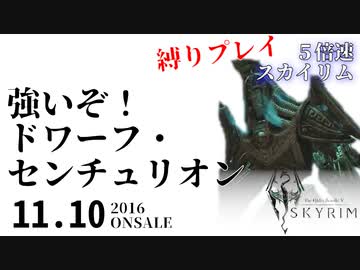 ずんだもんが５倍速で楽しくスカイリムを遊ぶ #8【SkyrimSE】