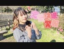 【たまごせんべい】恋愛決壊警報【踊ってみた】【桐いろは誕】