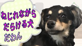 ねじれながらだらける犬【小春六花オリジナル曲】