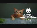 【猫ゲー】Stray_11_シェイル