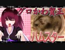 グロかわちゃんのハムスターの日常。2
