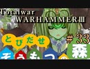Total War:WARHAMMERⅢ】とびだせ ぞうもつの森！＃３３『ゴームウィザー戦線①』