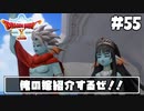 【ドラクエ10】ネット繋がってないからオフライン版で遊ぶ【初見実況】#55
