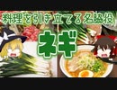 【ゆっくり解説】ネギの栄養について解説！