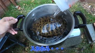 カメを丸ごと圧力鍋に入れて料理してみた