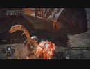 その辺の褪せ人の侵入10