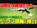【時事ニュース解説】韓国国防部､北のドローン対策に｢ワシ部隊｣新設を検討!