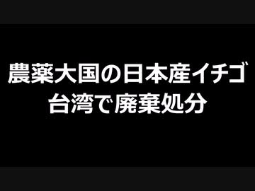 農薬大国の日本産イチゴ　台湾で廃棄処分
