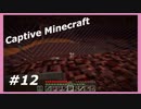 【Minecraft】 #12 ネザー攻防戦その2 【Captive Minecraft】