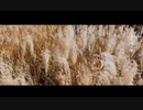 ヨソ筥 - 芒 feat.知声 / silver grass