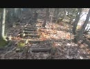 人載ウォーキング（登山口から寺分岐までの往復。）