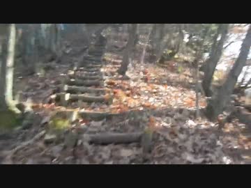 人載ウォーキング（登山口から寺分岐までの往復。）