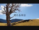 君たる半分/End+【初音ミク】