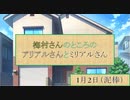 【天空の蒼栄】梅村さんのところのアリアルさんとミリアルさん【2023年1月2日（泥棒）】