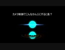 自分用編集作業メモ