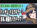 【ポケモンSV】原石美緑のポケモンSV調査報告書　第6回