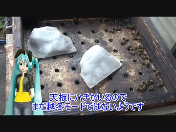 【素人養蜂　Part78】収穫後の様子です