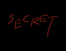 Secret / マカロニさん