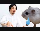 ひろゆきに叱られるハムスター