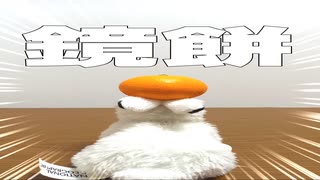 うさぎのリアル