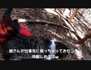 （あけおめなう回）変態忍者の、有害鳥獣駆除従事活動記・その２２４