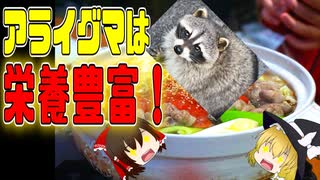 【ゆっくり解説】アライグマ栄養について解説！